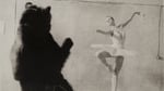 Majofis - taste for russian ballet